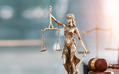 Education Law Attorney
